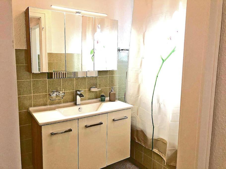 Inn Joy Apartments - Rorschach Mit Panoramasicht Dış mekan fotoğraf